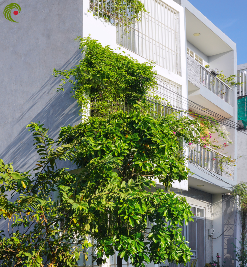NGÔI NHÀ NHƯ CHIẾC HỘP RỖNG