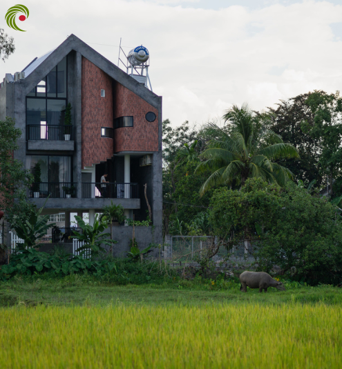 NHÀ CHỐNG LŨ HÌNH TỔ CHIM