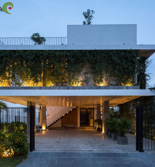 PSA HOUSE - SỰ KẾT HỢP CỦA CHẤT LIỆU MỘC MẠC, CÂY XANH VÀ ÁNH SÁNG TỰ NHIÊN
